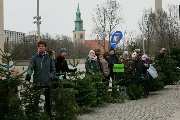 Seniorenvertretung Tempelhof-Schöneberg Baumentscheid #aufbäumen